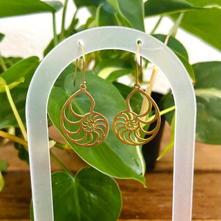 Brass Ammonite Earrings