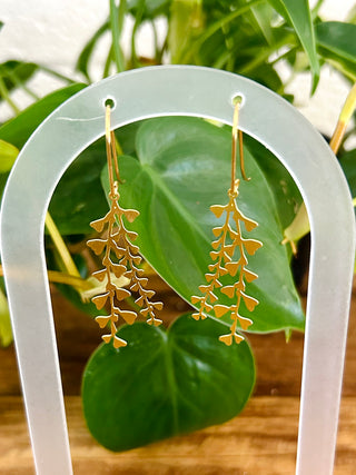 Brass Maidenhair Fern Earrings