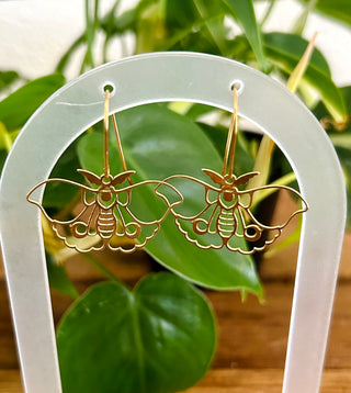 Shiny Brass Moth Earrings