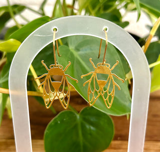 Brass Housefly Earrings