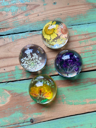 Preserved Florals Resin Half-Sphere