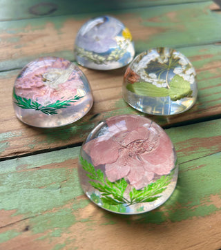 Preserved Florals Resin Half-Sphere