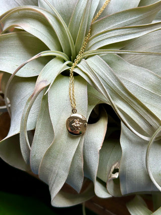 Tiny Bee Locket Necklace