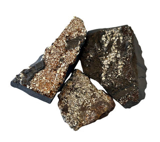 Shungite w/ Pyrite Specimen
