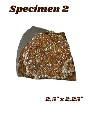 Shungite w/ Pyrite Specimen