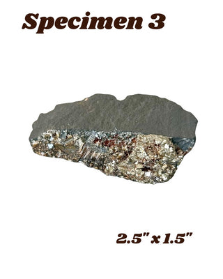 Shungite w/ Pyrite Specimen