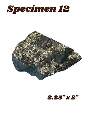 Shungite w/ Pyrite Specimen