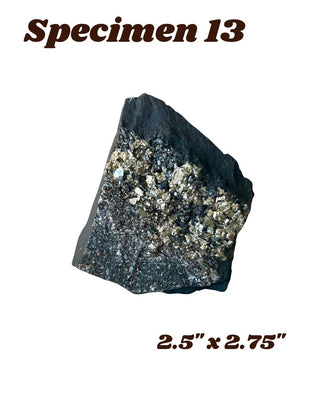 Shungite w/ Pyrite Specimen
