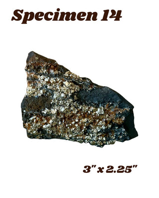 Shungite w/ Pyrite Specimen