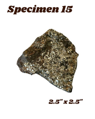 Shungite w/ Pyrite Specimen