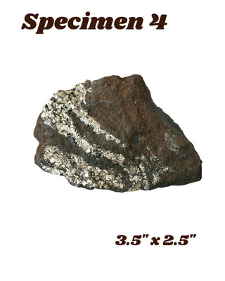 Shungite w/ Pyrite Specimen