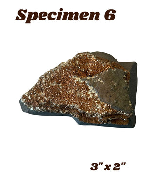 Shungite w/ Pyrite Specimen