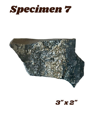 Shungite w/ Pyrite Specimen
