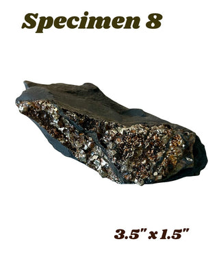 Shungite w/ Pyrite Specimen