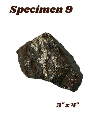 Shungite w/ Pyrite Specimen