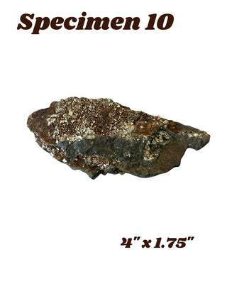 Shungite w/ Pyrite Specimen
