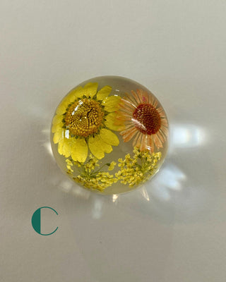 Preserved Florals Resin Half-Sphere