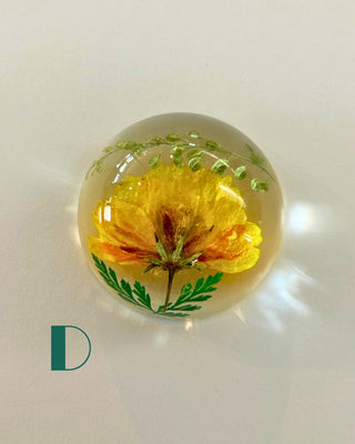 Preserved Florals Resin Half-Sphere
