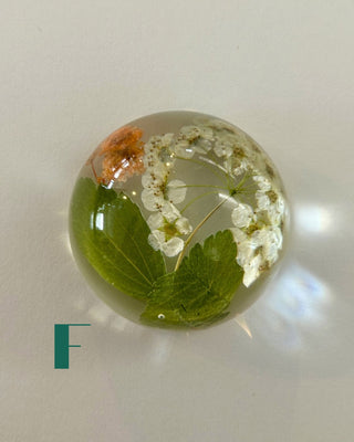 Preserved Florals Resin Half-Sphere