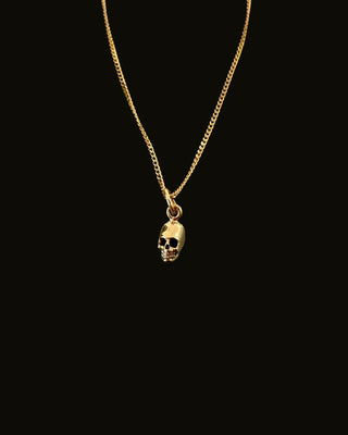Mini Bronze Skull Pendant Necklace