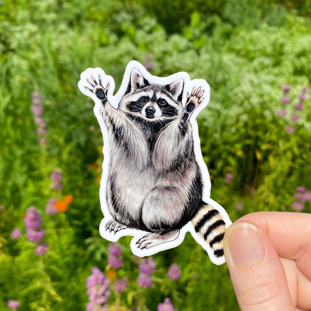 Raccoon Weatherproof Vinyl Sticker – Indie South