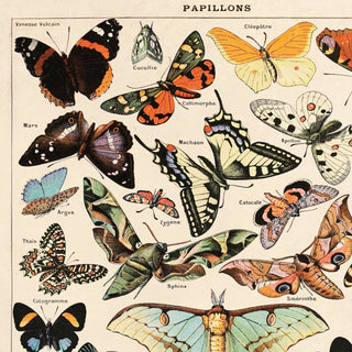 Vintage Millot Butterfly 3 Print
