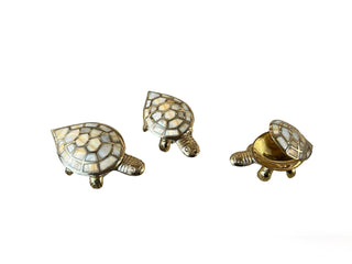 Turtle Box - Large