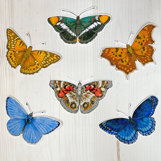 California Sister Butterfly Matte Vinyl Sticker
