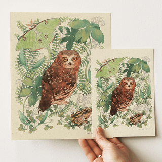 Moonlit Forest Northern Saw-whet Owl Print (8x10)