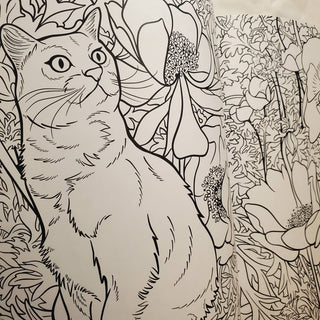 Cats & Plants Coloring Book