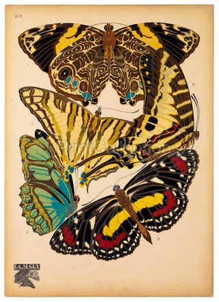 E.A. Seguy Butterflies Plate 5 Art Print (8x10)