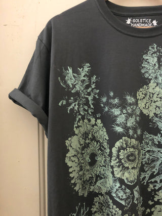 Lichen Organic Cotton T shirt: Small