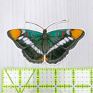 California Sister Butterfly Matte Vinyl Sticker