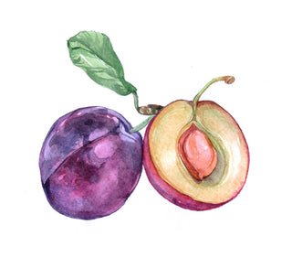 Orchard Buds Jar- Prickly Pear, Plum, Passion Fruit, and Apple 7.3 OZ