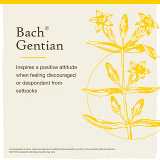 Gentian - Accept Setbacks - Bach Original Flower Remedies