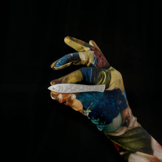 Sardine Fish Hair Clip Set