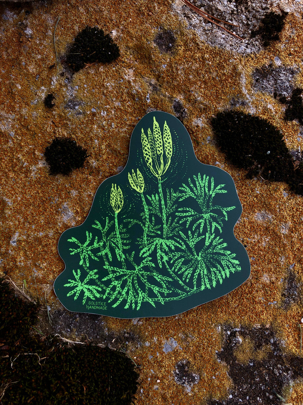 Ground Cedar Sticker – Indie South