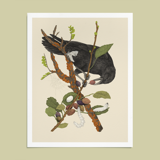 Crow & Silk Moths Giclee Print (8x10)