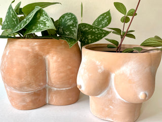 Indie South | Terracotta Booty Planter
