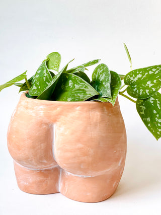 Indie South | Terracotta Booty Planter