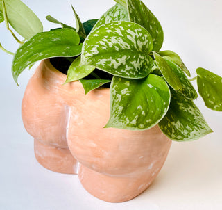 Indie South | Terracotta Booty Planter