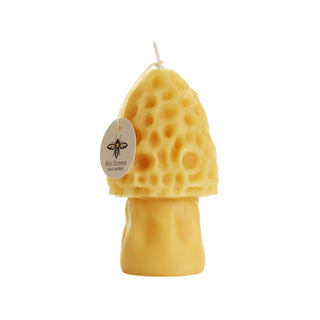 Mushroom Candles – 100% Pure Beeswax – 3 Styles: Oyster Mushroom