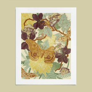 Moth Giclee Print (11x14)