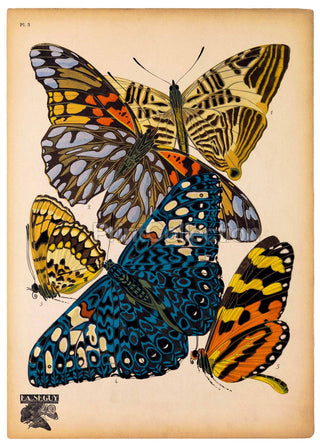 E.A. Seguy Butterflies Plate 3 Art Print (8x10)