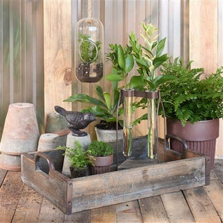 Perched Bird, Cast Iron - Brown