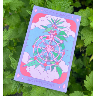 Motherwort - Tarot Garden Seeds