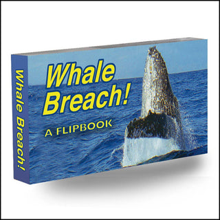 Whale Breach Movie Flipbook