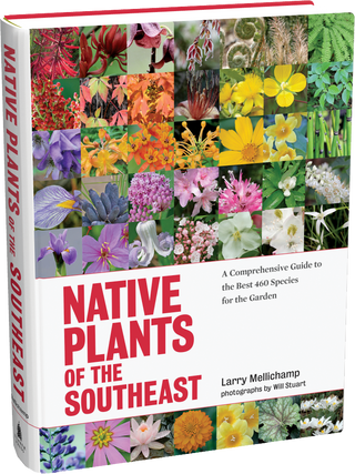 Native Plants of the Southeast