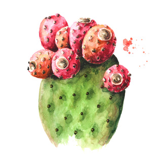 Orchard Buds Jar- Prickly Pear, Plum, Passion Fruit, and Apple 7.3 OZ