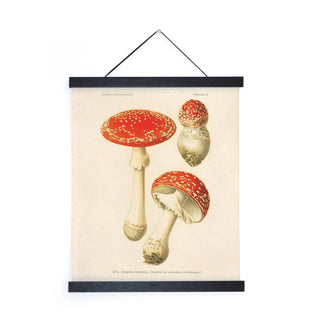 Vintage Magic Mushroom Print 11X14